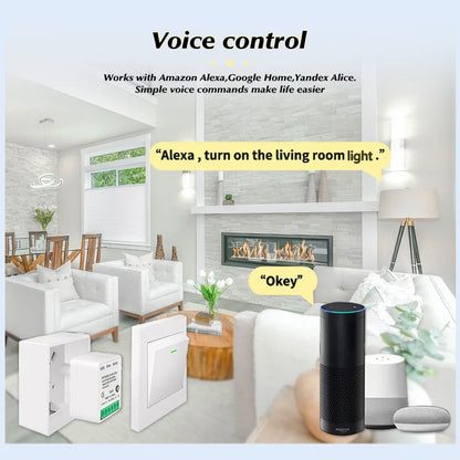 Smart Switch Module WiFi ZigBee Tuya Smart Life App Remote DIY Delay Support 2-way Control with Alexa Google Home Voice Control