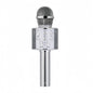 Portable Bluetooth Karaoke Microphone with 5 Voice Changer Reverb Adjustment Recording Function Microphone for Kids Gifts