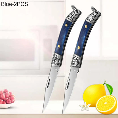 Stainless Steel Mini Pocket Knife Fruit Paring Knife with Non-slip Handle Multifunctional Folding Knife for Household Cooking