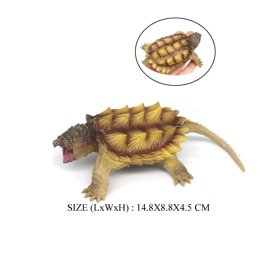 Simulation Chinese Softshell Leatherback Sea Turtle Snapping Turtles Tortoise Ocean Animal Model Education Toy Figures For Kids