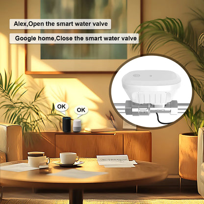Zigbee Or WiFi Tuya Smart Water Valve Water Meter Water Flow Rate Consumption Temperature Display Smart Life Control Irrigation