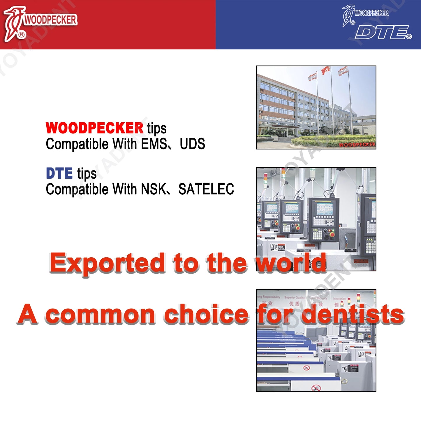 Woodpecker DTE Dental Endo Tips Ultrasonic Scaler Tips Scaling Tips ED-Series Fit NSK SATELEC Scaler Handpiece Dentistry Product