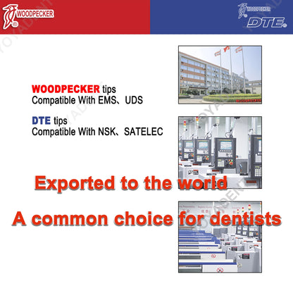 Woodpecker DTE Dental Endo Tips Ultrasonic Scaler Tips Scaling Tips ED-Series Fit NSK SATELEC Scaler Handpiece Dentistry Product