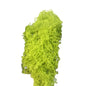 Sand Table Vegetation Long Leaf Grass Cluster Miniature Reed Scene Model Railway Scenery Micro Landscape DIY Accessories