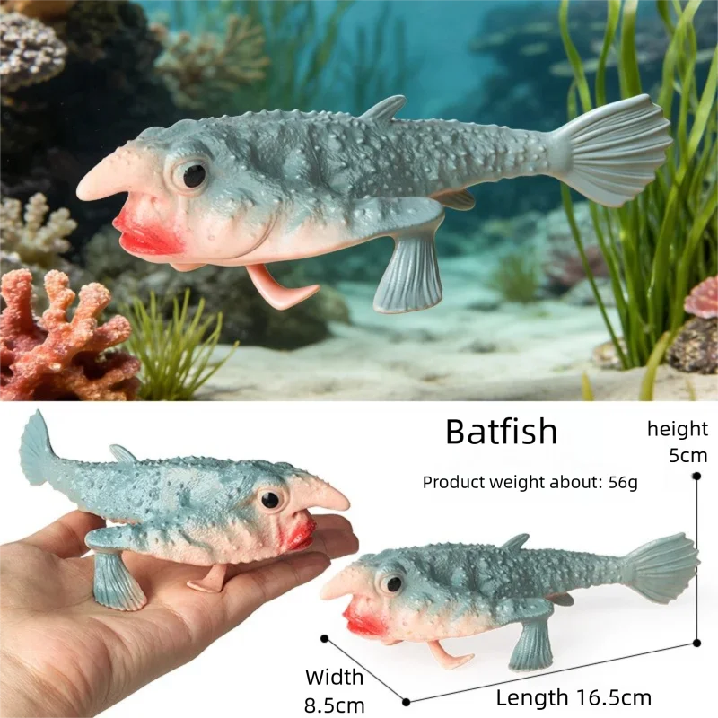 Realistic Marine Animal Figurine Deep Sea Creature Model Ocean Fish Figures Blobfish Collection Kids Toy Boy Girl Gift Ornament