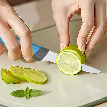 High-end 4-piece kitchen knife set, stainless steel fruit knife. A multi-functional knife used by kitchen chefs for cutting meat