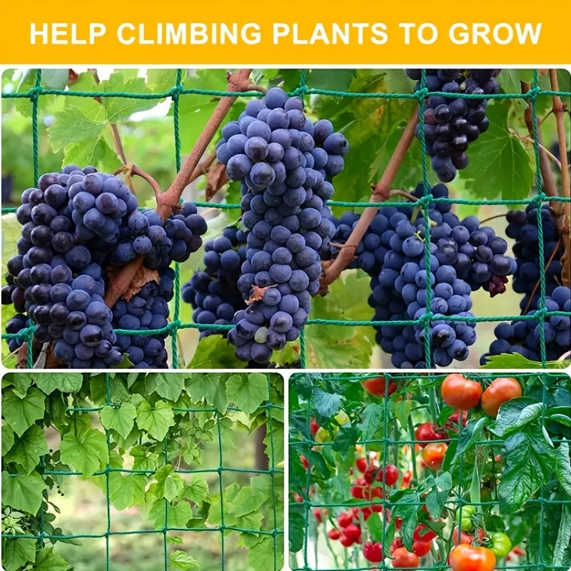 Heavy-Duty Garden Climbing Net – UV-Resistant Nylon Trellis for Cucumber, Loofah & Flowers