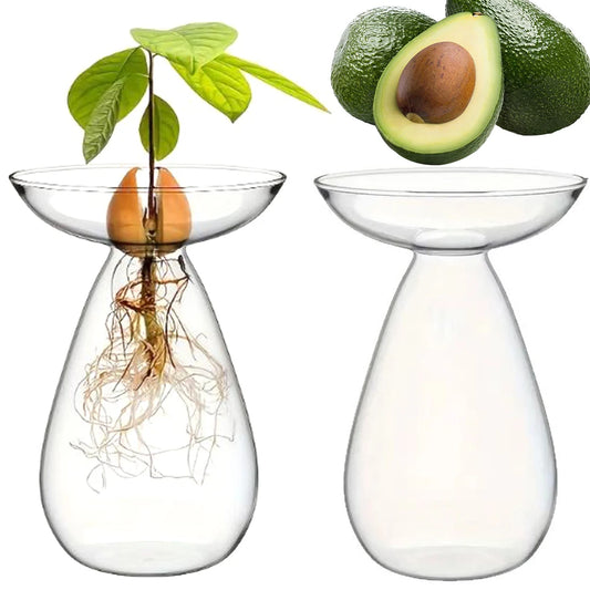 Avocado Seed Sprout Starter Vase Avocado Tree Growing Vase Kit for Planter Gift Indoor Home Decor Gardening Lovers Plant Lover