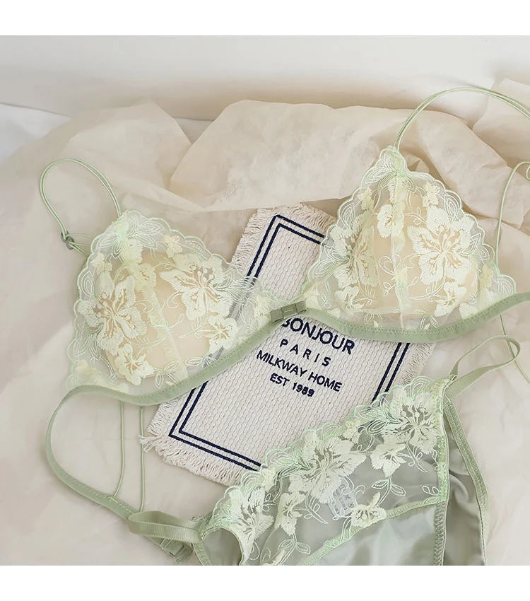 French Lace Bralette Small Bust Women Wireless Ultra Thin Sexy Embroidery Mesh No Underwire Push Up Comfort Bra Set BANERDANNI