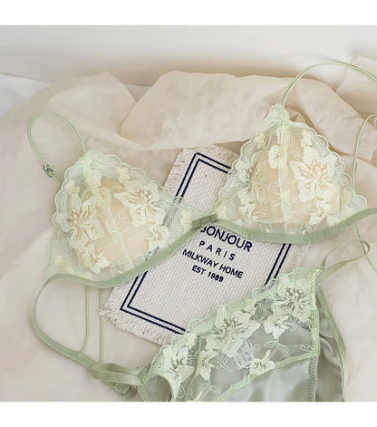 French Lace Bralette Small Bust Women Wireless Ultra Thin Sexy Embroidery Mesh No Underwire Push Up Comfort Bra Set BANERDANNI