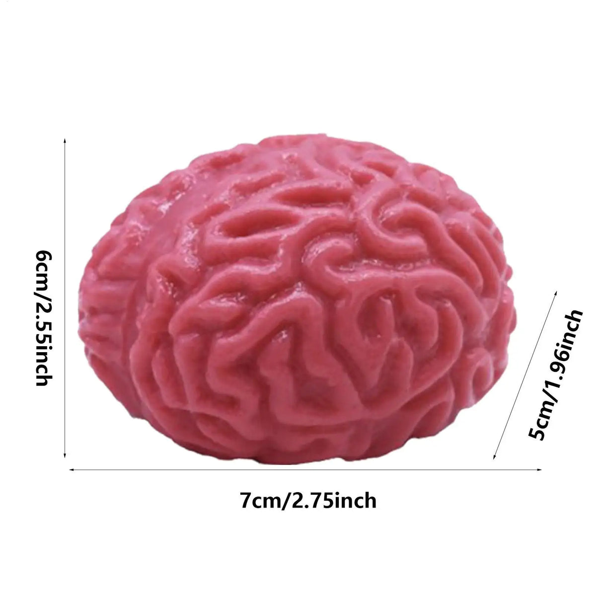 TPR Soft Fake Brain Stress Relief Toy Squeeze Ball Halloween Sensory Fidget Slow Rebound Prank Classroom Prize Party Supply