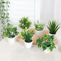 1SET Simulation Plant Potted Plant, Suitable For Commercial Office Counter, Living Room, Study, Courtyard, Home Decoration
