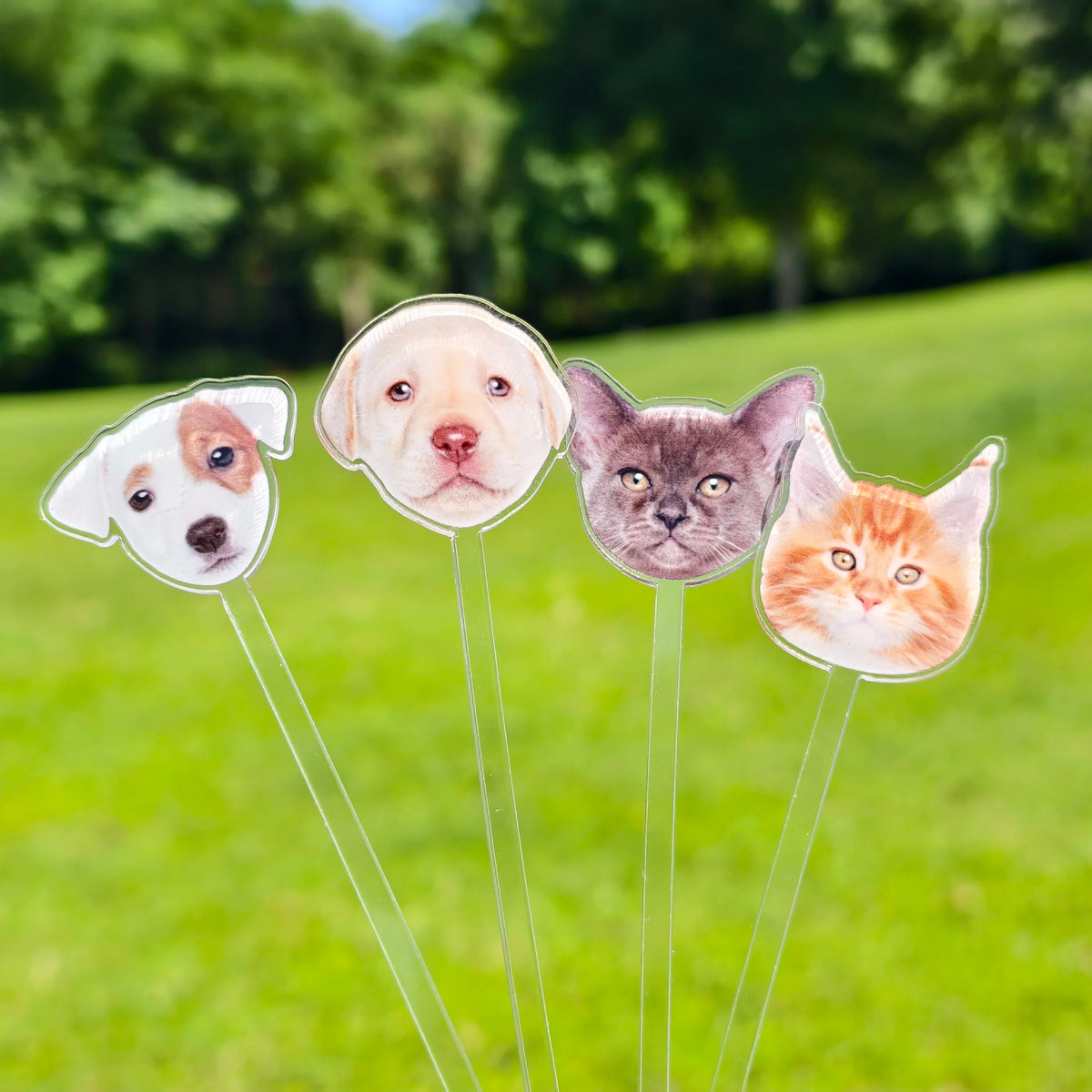 Personalized Cocktail Stirrers Custom Pet Face Drink Stir Wedding Gift Table Decoration Acrylic Party Drink Stirs Party souvenir