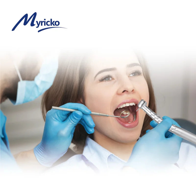 Style Denta lLED  High Speed Handpiece rotation E-generator Fiber Optic Push Button Ceramic Bearing CartridgeAir Turbine