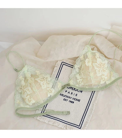 French Lace Bralette Small Bust Women Wireless Ultra Thin Sexy Embroidery Mesh No Underwire Push Up Comfort Bra Set BANERDANNI