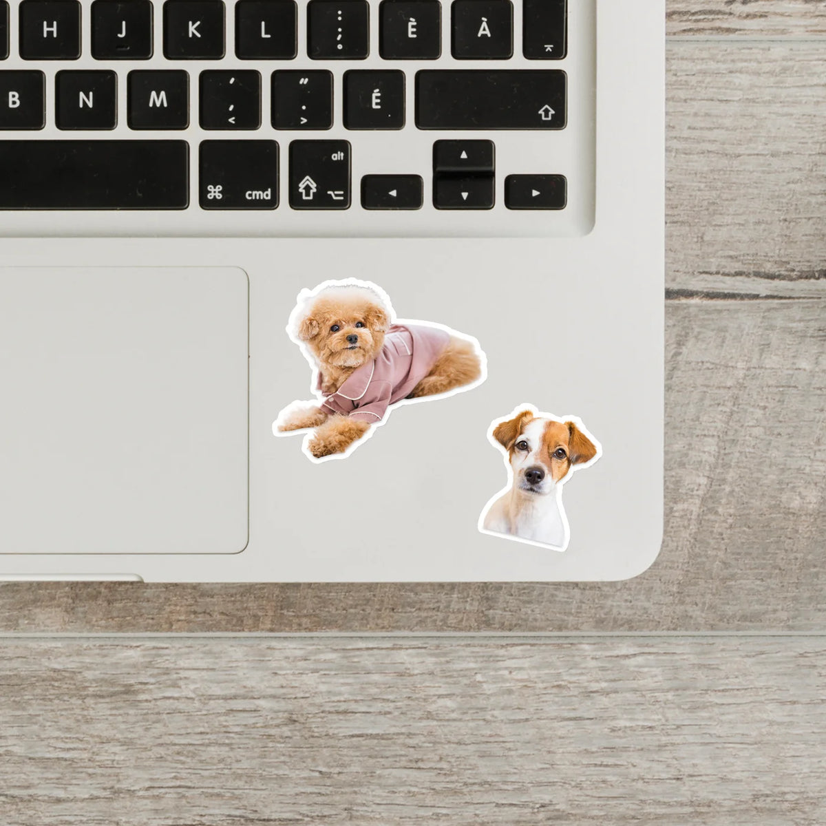 Custom Stickers of Pet Waterproof Personalized Stickers of Photo Cute Custom Logo Labels for Laptop Cup, Birthday Party Deco