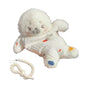 Stress Relief Plush Toy Cute Seal Bean Bag With Hanging Rope Funny Sensory For Stress Relief & Kids