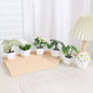 1SET Simulation Plant Potted Plant, Suitable For Commercial Office Counter, Living Room, Study, Courtyard, Home Decoration