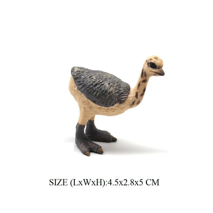 Realistic Emu Ostrich Growth Cycle Action Figure Toys Bird Figurines Animal Playset Educational Model Toys Collection Home Decor