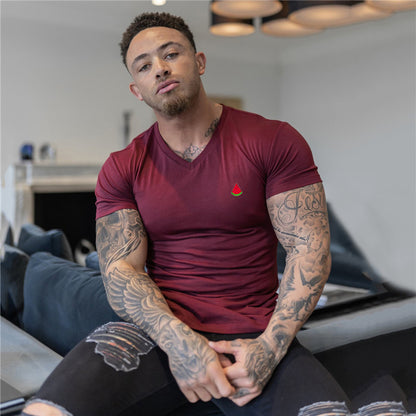 Sumemr Moisture Wicking Short Sleeve Cotton T-Shirt Men's V-Neck Slim Fit Shirt Fitness Bodybuilding Workout Tees Gym Clothing