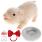 6inch Silicone Pig Doll Toy Cute Miniature Silicone Pig Reborn Realistic Pig Toy Interesting Full Silicone Piglet Doll Toy Set