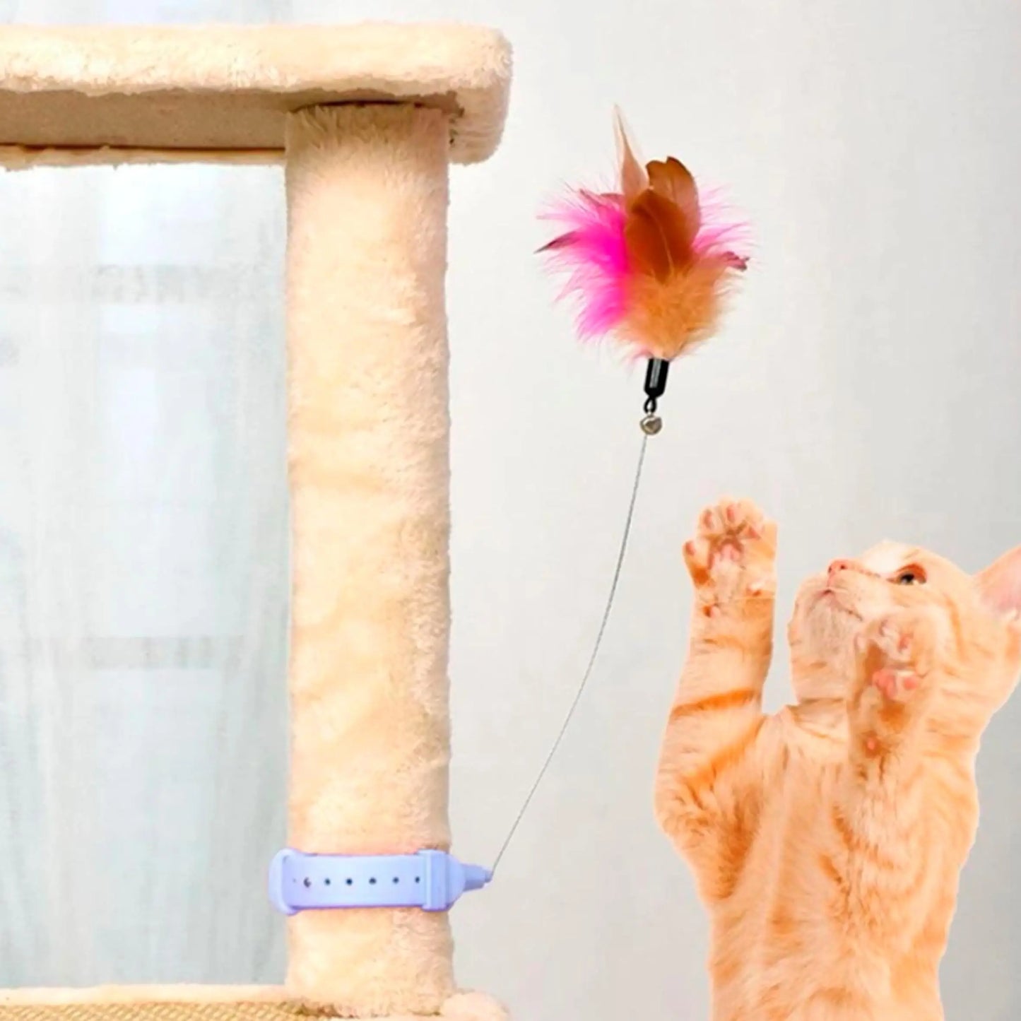 Neck Wear Cat Collar Teaser Toys, Self Play Cat Toy for Boredom Relief, Suitable for Indoor Cats to Exercise