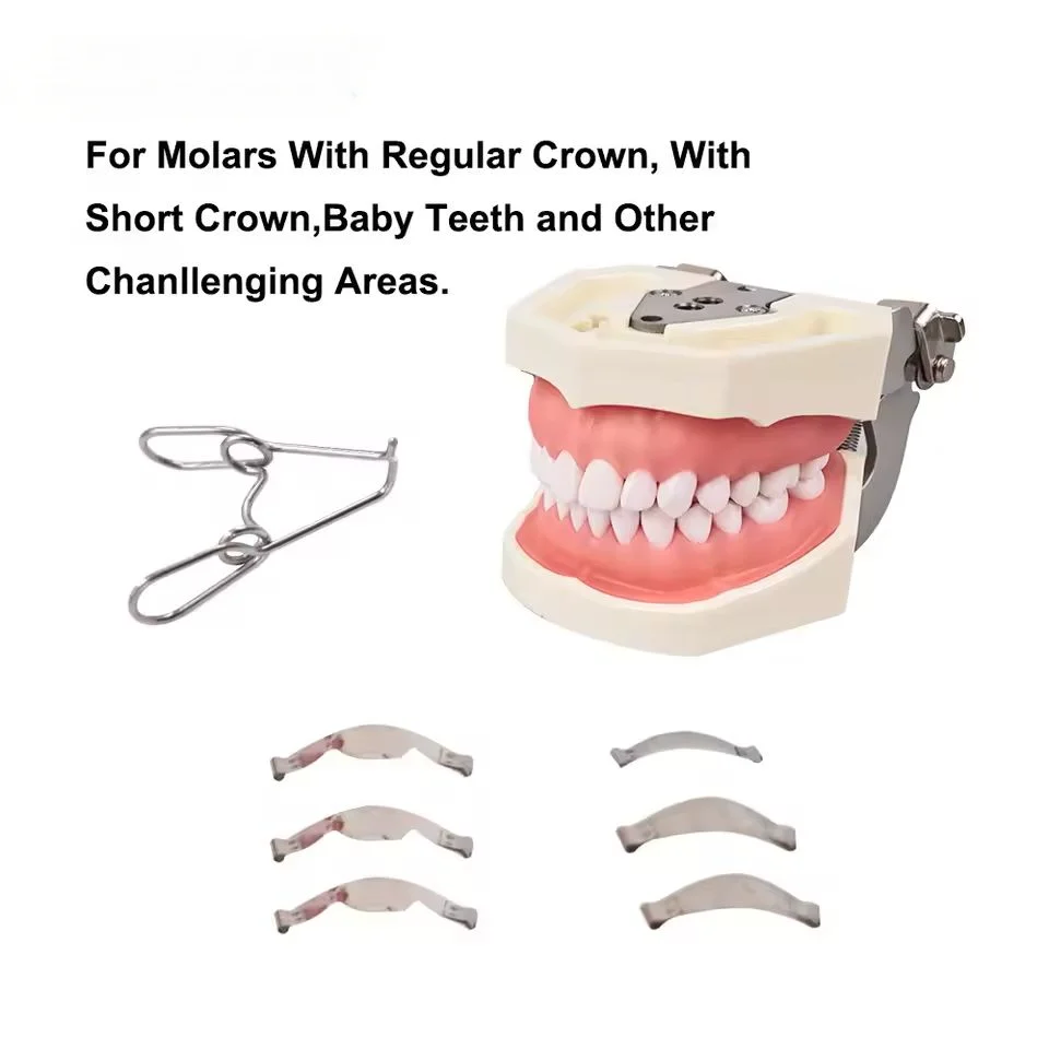 Dental Sectional Contoured Metal Matrices Matrix with Springclip No.1.330 Band Resin Clamping/Seperating Ring Dentist Tools