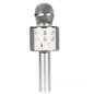 Wireless Bluetooth Karaoke Microphone for Kids, 5-in-1 Portable Handheld Karaoke Mic Speaker Player Recorder with  FM Radio