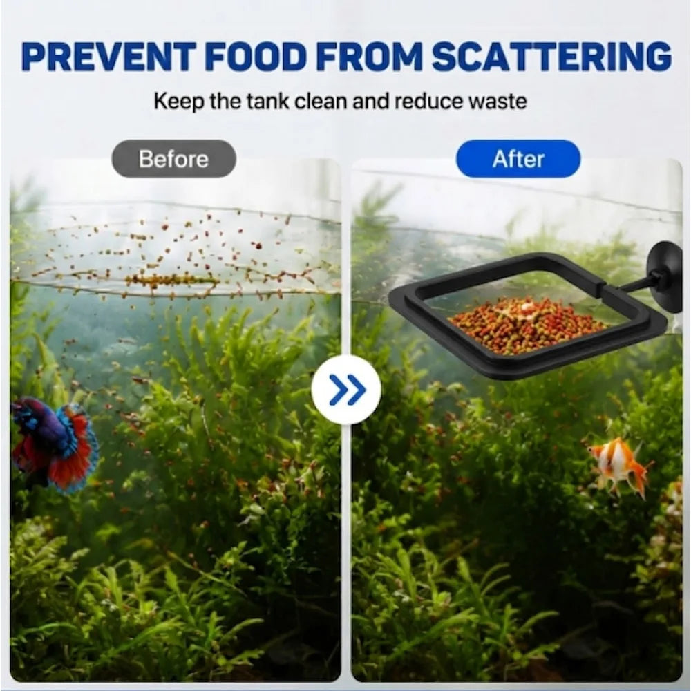 Fish Food Pellets With Square Floating Feeding Ring Set For Betta Goldfish Nutrient Color Enhancer Combo ZORILYNX Plus X2