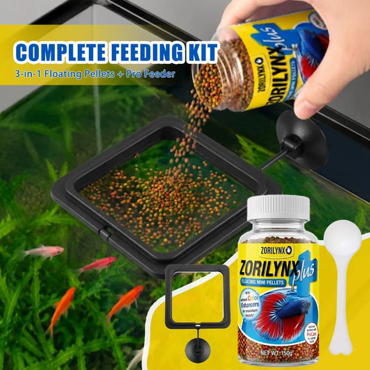 Fish Food Pellets With Square Floating Feeding Ring Set For Betta Goldfish Nutrient Color Enhancer Combo ZORILYNX Plus X2