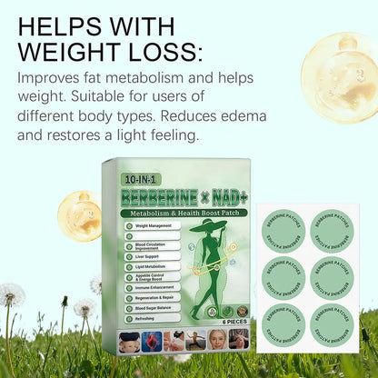 6PCS Moringa Composite Microneedle Patch Health Support Body Firming Nano Patch Natural Ingredients Microneedle Sticker ﻿
