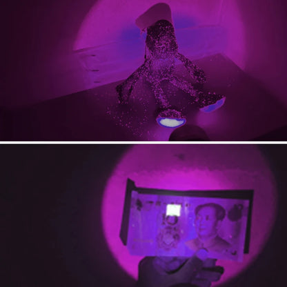 Blue/395nm UV Flashlight Ultraviolet Nail Lamp Torch Curing Cat Tinea Pet Urine Stain Marker Leakage Ore Money Scorpion Light