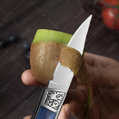 Stainless Steel Mini Pocket Knife Fruit Paring Knife with Non-slip Handle Multifunctional Folding Knife for Household Cooking