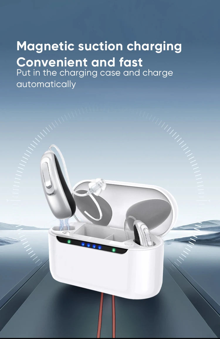 30 channel program Digital Hearing Aid Rechargeable Noise Reduction Sound Amplifier Deafness Adjustable Portable Hearing Aids