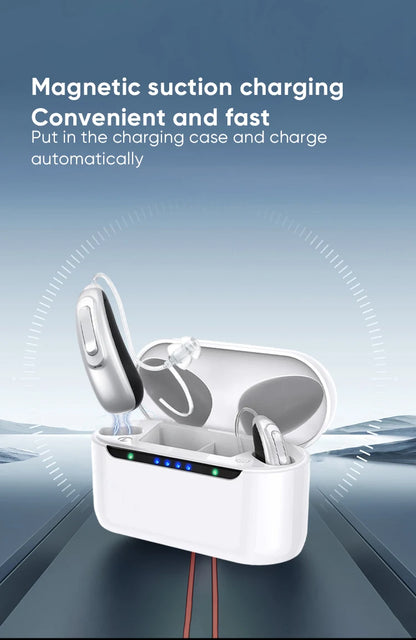 30 channel program Digital Hearing Aid Rechargeable Noise Reduction Sound Amplifier Deafness Adjustable Portable Hearing Aids