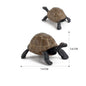 Simulation Chinese Softshell Leatherback Sea Turtle Snapping Turtles Tortoise Ocean Animal Model Education Toy Figures For Kids