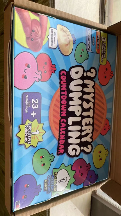Soft Mystery Dumpling Advent Calendar Slow Resilience Anxiety Relief 24-Day Countdown Calendar Fidget Decompression blind boxes