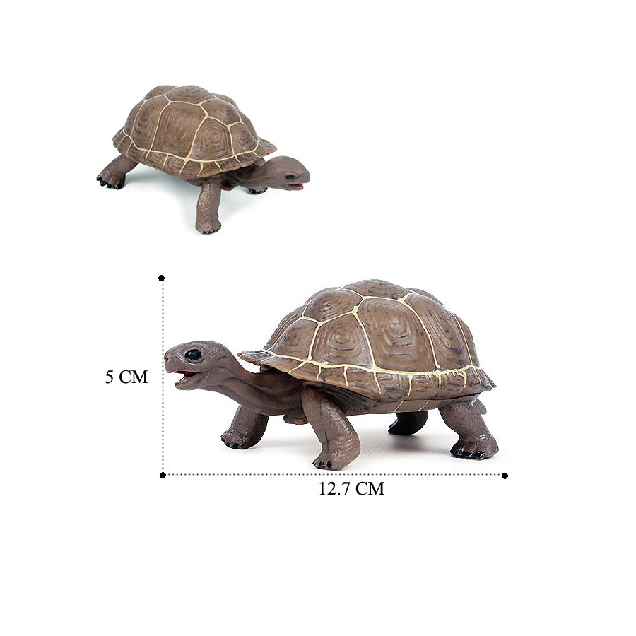 Simulation Chinese Softshell Leatherback Sea Turtle Snapping Turtles Tortoise Ocean Animal Model Education Toy Figures For Kids