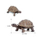 Simulation Chinese Softshell Leatherback Sea Turtle Snapping Turtles Tortoise Ocean Animal Model Education Toy Figures For Kids