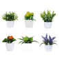 1SET Simulation Plant Potted Plant, Suitable For Commercial Office Counter, Living Room, Study, Courtyard, Home Decoration