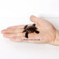 Simulation Chinese Softshell Leatherback Sea Turtle Snapping Turtles Tortoise Ocean Animal Model Education Toy Figures For Kids