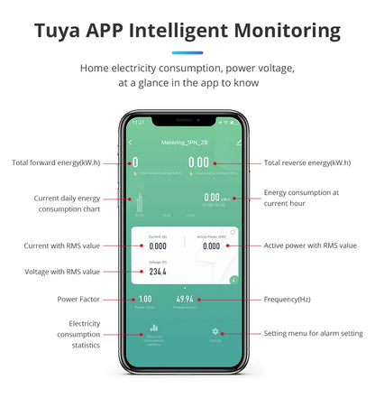 Zemismart Zigbee WiFi 63A MiNi Energy Meter Electric Monitor Sensor Work with Tuya Smart Zigbee2mqtt Home Assistant Homey SPM01