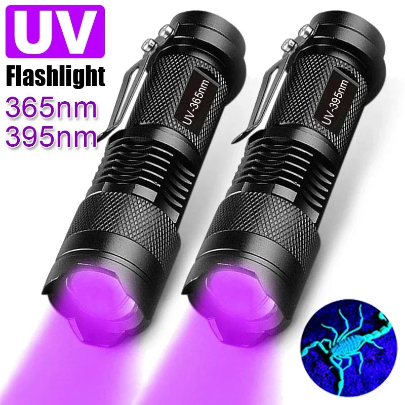 Portable UV Flashlight 365-395nm Black Light Flashlights Ultraviolet Zoomable Torch Pet Urine Stains Fluorescent Agent Detector