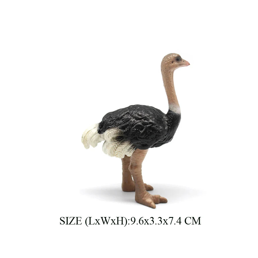 Realistic Emu Ostrich Growth Cycle Action Figure Toys Bird Figurines Animal Playset Educational Model Toys Collection Home Decor