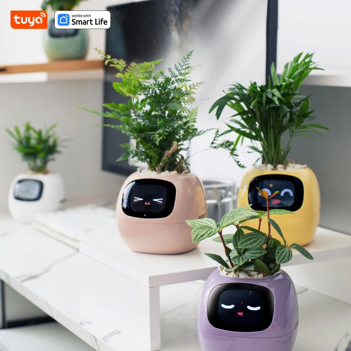 Gen1 Tuya Ivy Smart Planter,Endless Fun Over 49 Rich Expressions,7 smart sensors,AI Chips Make Raising Plants Easy and Fun