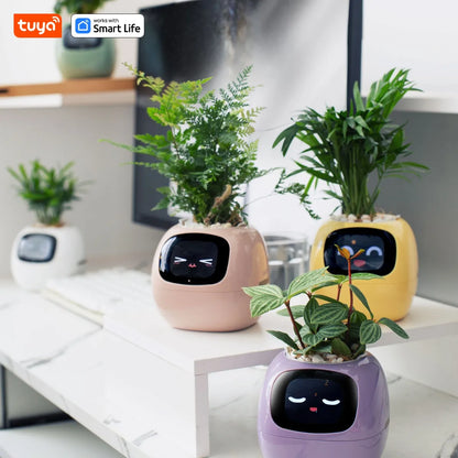 Gen1 Tuya Ivy Smart Planter,Endless Fun Over 49 Rich Expressions,7 smart sensors,AI Chips Make Raising Plants Easy and Fun