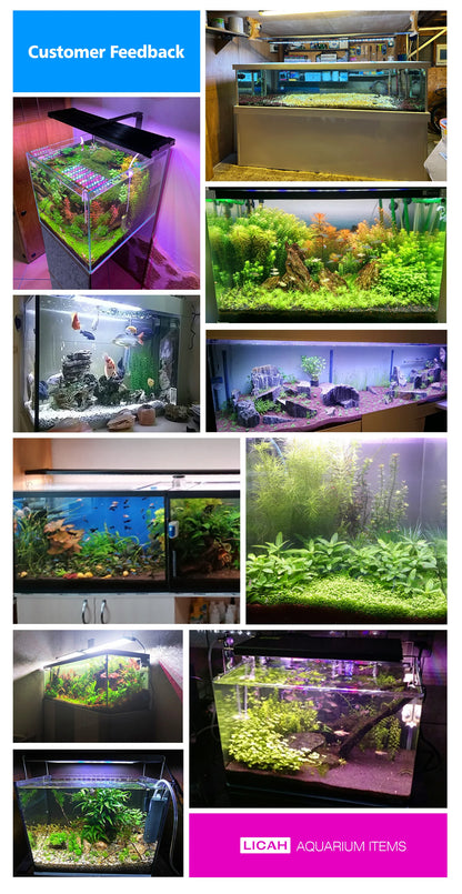 LICAH WRGB Light for Aquatic Plants / Fresh Water / 40~105cm