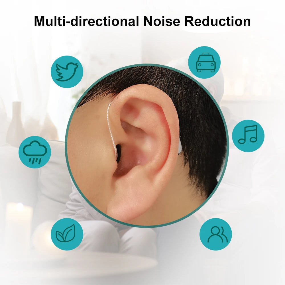 Self-Fitting OTC Hearing Aids, Mild to Moderate Hearing Loss,Bluetooth Hearing Aid with Invisible Fit Noise Support audifonos