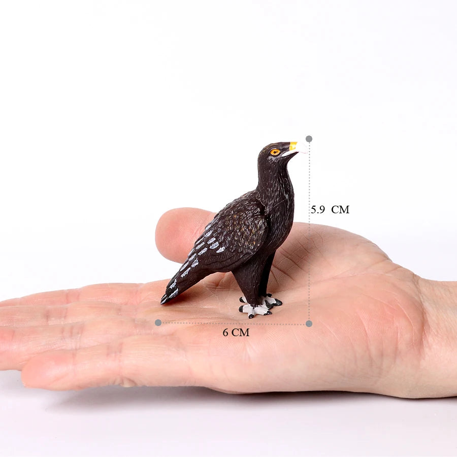 Hand Painted Simulation Bird Model Figures Toucan Peacock Owl Flamingo, Early Cognition Toy Cake Decoration For Children