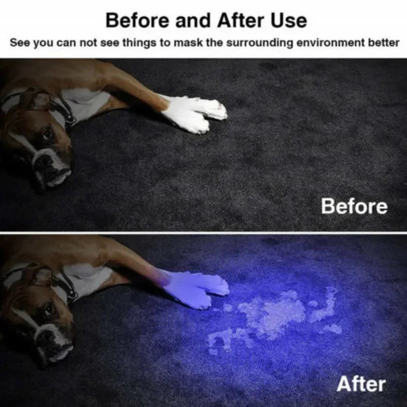 Portable UV Flashlight 365-395nm Black Light Flashlights Ultraviolet Zoomable Torch Pet Urine Stains Fluorescent Agent Detector